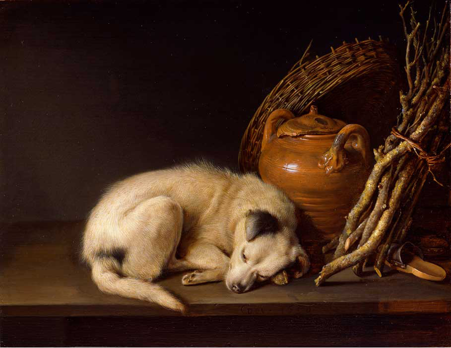 Resting Dog painting - Gerrit Dou Resting Dog art painting